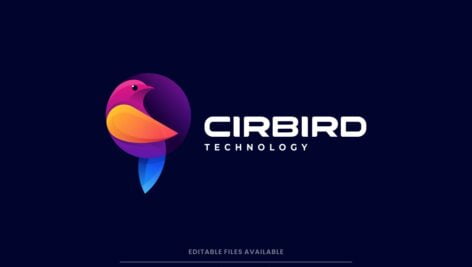لوگو پرنده رنگی | Bird Colorful Logo