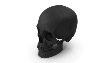 مدل ۳بعدی جمجمه لاستیکی | Rubber Skull 3D