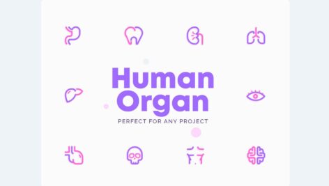 آیکون های اندام انسان | Human Organ Icons
