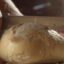 استوک فوتیج برش نان