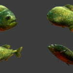 دانلود مدل سه بعدی ماهی | Low Poly Fish Collection