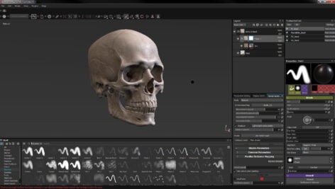 دانلود مدل سه بعدی جمجمه انسان | Human Skull