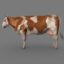 دانلود مدل سه بعدی گاو | Top Cow 3D Models