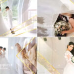 پروژه افترافکت نمایش اسلاید عروسی Elegant Particle Wedding Slideshow