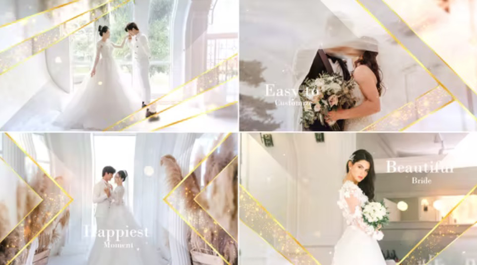 پروژه افترافکت نمایش اسلاید عروسی Elegant Particle Wedding Slideshow