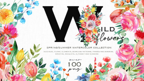 مجموعه آبرنگ گل های وحشی Wildflowers watercolor