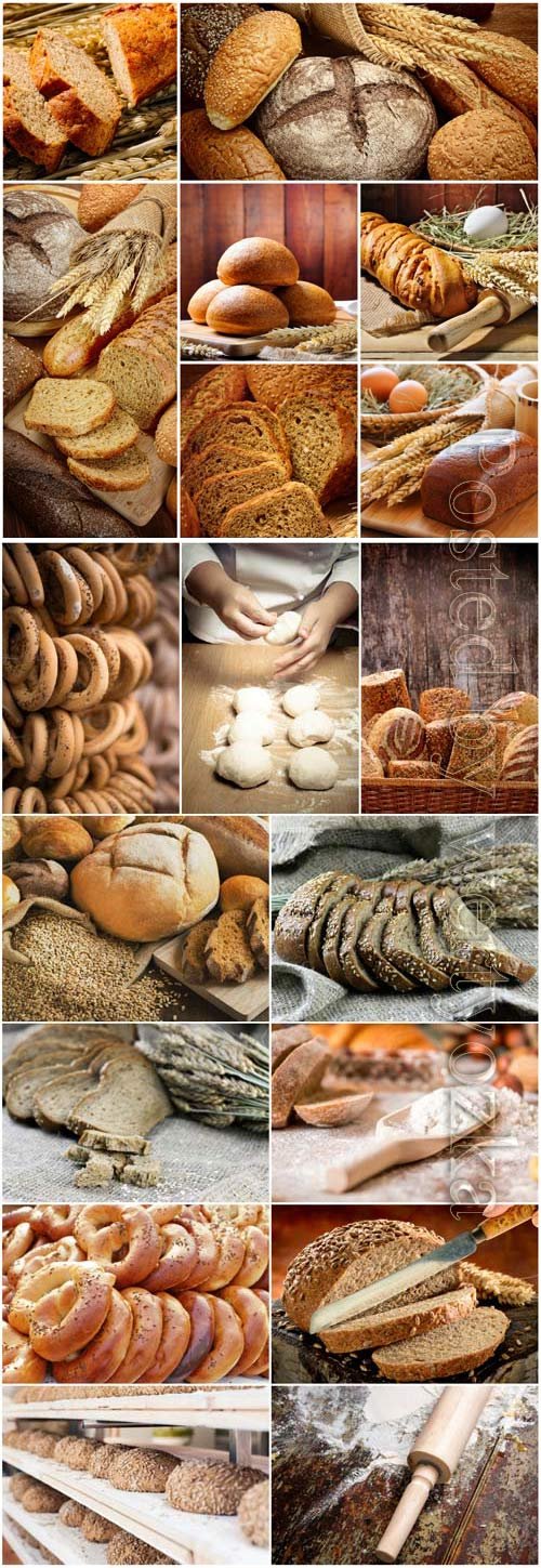 دانلود مجموعه عکس با کیفیت نان حجیم و فانتزی Bread Products Stock Photo