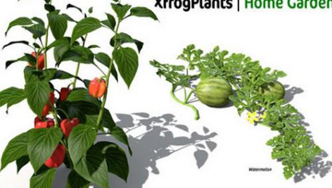 دانلود مجموعه محصولات باغی سه بعدی XfrogPlants Home Garden