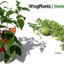 دانلود مجموعه محصولات باغی سه بعدی XfrogPlants Home Garden