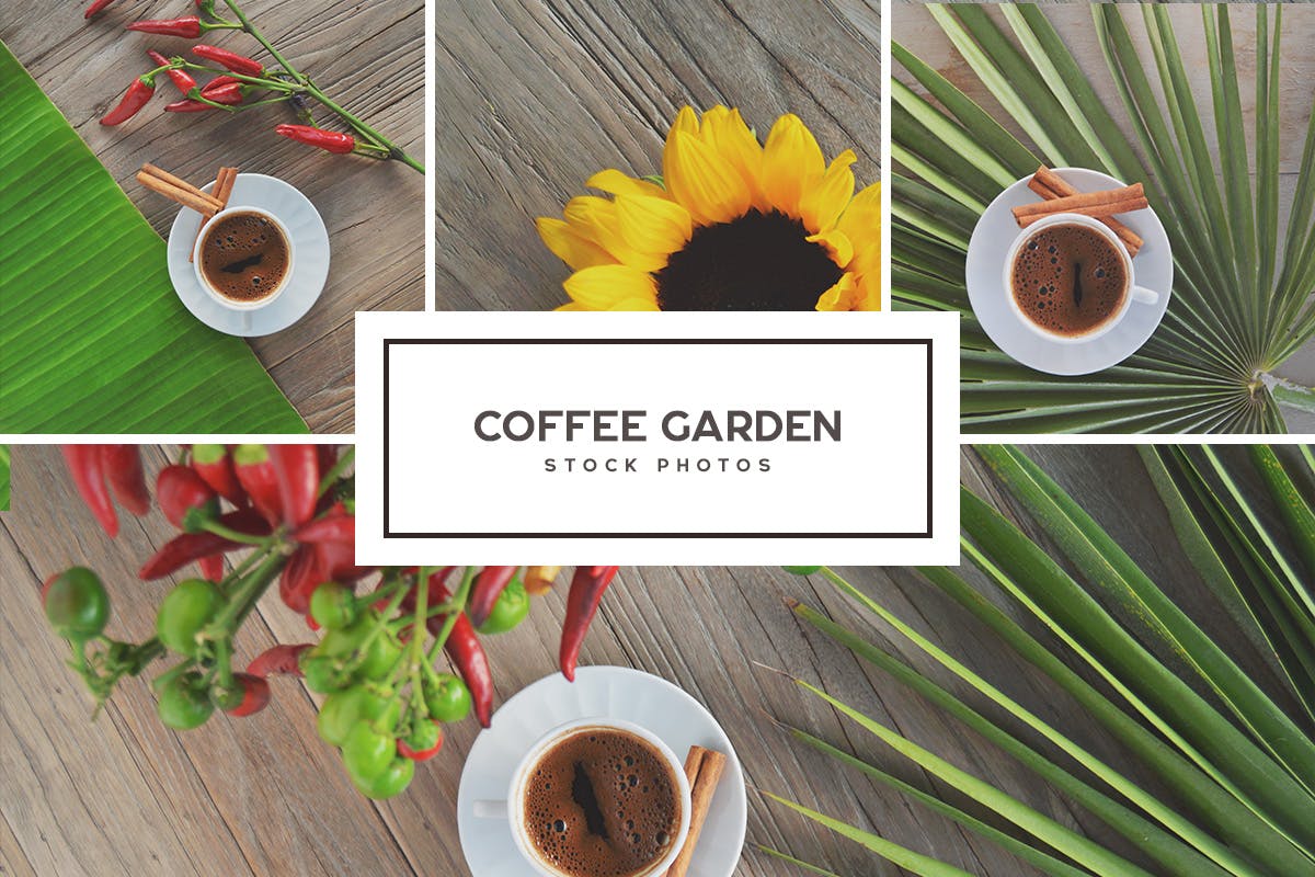 دانلود عکس های با کیفیت قهوه، فنجان قهوه Coffee Garden Stock Photo Bundle 