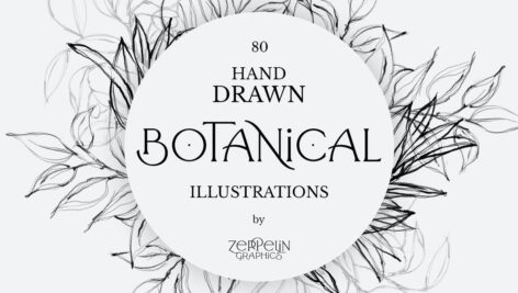 مجموعه ۸۰ طرح گیاهان دستی Botanical Hand Drawn Illustrations