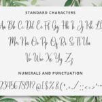 دانلود فونت Calligraphy/Cursive Font