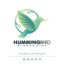 دانلود لوگوی گرادیان مرغ مگس خوار Hummingbird Gradient Logo