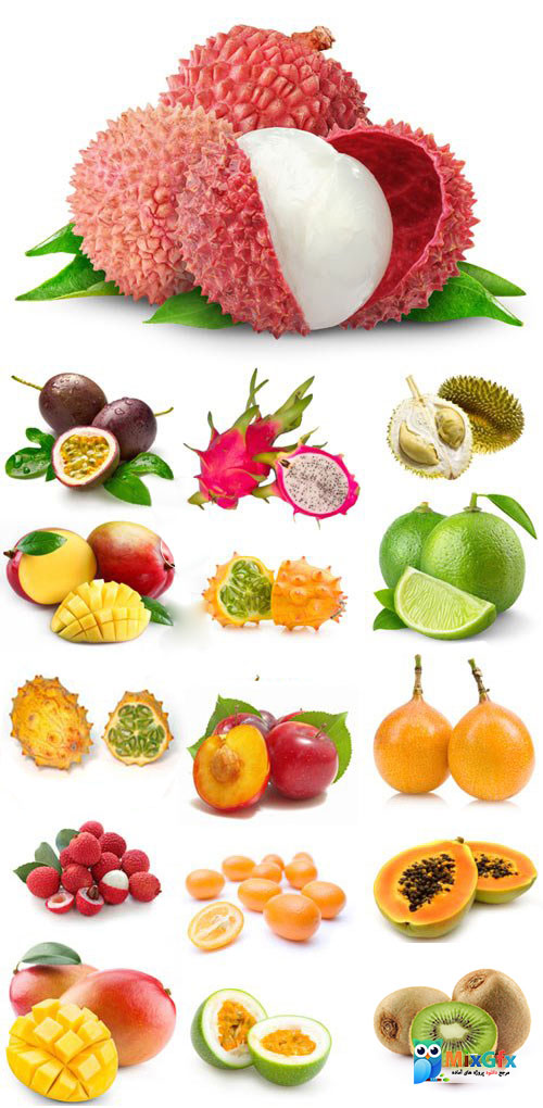 دانلود مجموعه تصاویر میوه های استوایی Tropical fruits raster graphics