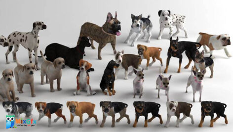 دانلود مدل های سه بعدی سگ 3D Dog