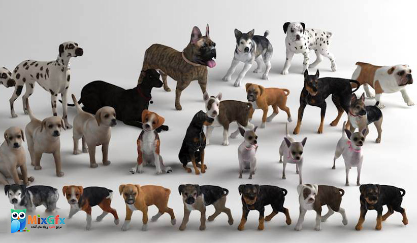 دانلود مدل های سه بعدی سگ 3D Dog