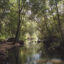 دانلود استوک ویدیو رودخانه جنگلی زیر نور خورشید