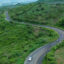 دانلود استوک ویدیو جاده منحنی بر روی تپه ای پوشیده از درخت
