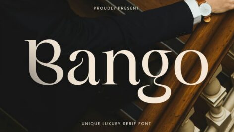 Bango - Unique Logo Serif Font