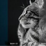 پروژه پریمیر 120LUTs for Premiere Pro