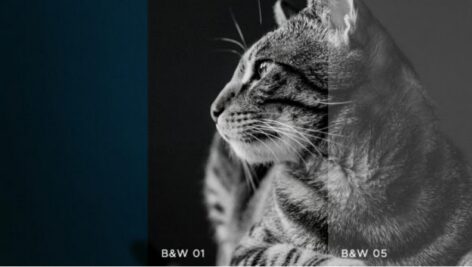 پروژه پریمیر 120LUTs for Premiere Pro