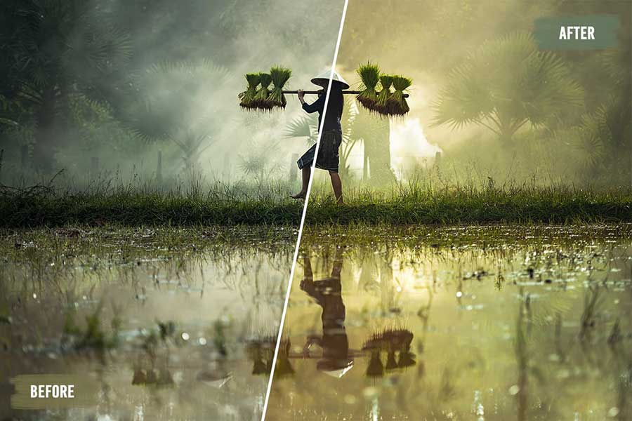 دانلود ۵۰ بسته LUT عجیب و غریب 50 Exotic LUTs Pack