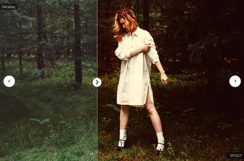 دانلود اکشنهای فتوشاپ به درون جنگل Into The Jungle Photoshop Actions